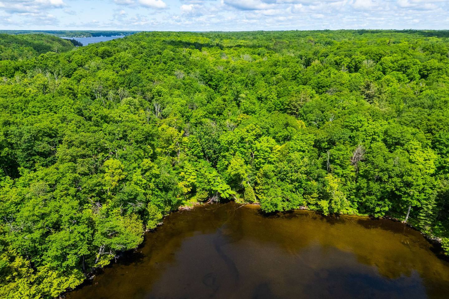 Aerial photo